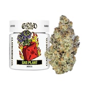 GAS PLANT 3.5G (GOLD CUTS)