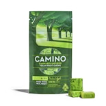 ORCHARD APPLE CAMINO FRUIT CHEWS - 10 PACK