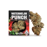 WATERMELON PUNCH - EIGHTH