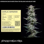 GARLIC BANANA - EIGHTH