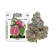 GUAVA GASLATO 3.5G (GOLD CUTS)