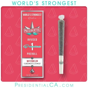 Presidential - WATERMELON MOONROCK JOINT | 1G