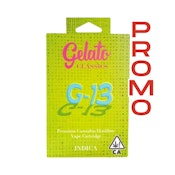 G-13 1G