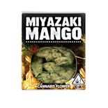 MIYAZAKI MANGO - EIGHTH