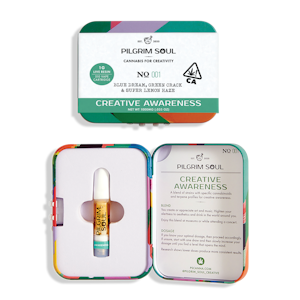 Pilgrim soul - CREATIVE AWARENESS | 1G