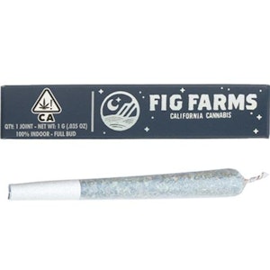 Fig farms - JELLY ZAPPERS PREROLL - SINGLE